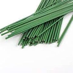 The Lovely Arts Collection Dark Green Floral Stem Wire 2 mm And 30 cm long Crafting Floral Wire Artificial Plant Stub Stem for Flower Arrangements for DIY Material - 50pcs.The Lovely Arts Collection Dark Green Floral Stem Wire 2 mm And 30 cm long Crafting Floral Wire Artificial Plant Stub Stem for Flower Arrangements for DIY Material - 50pcs.